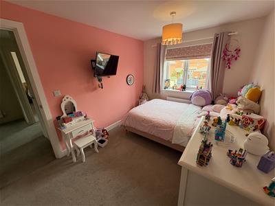 Picture 23